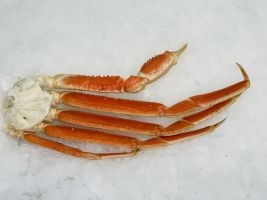 Jumbo Snow Crab Legs