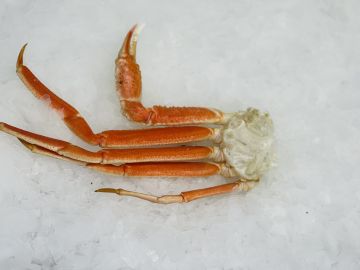 Large Snow Crab Legs
