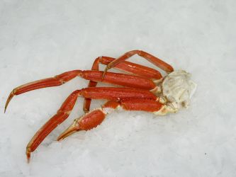 Medium Snow Crab Legs