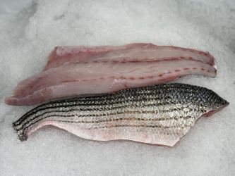 Rockfish (Striped Bass)