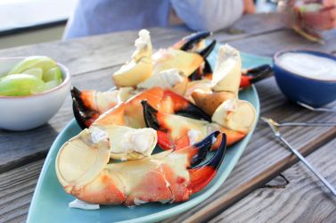 Stone Crab Claws